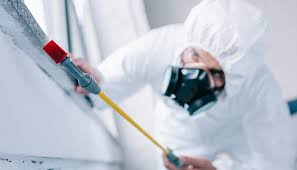 Best Fumigation Services  in Marshall, IL